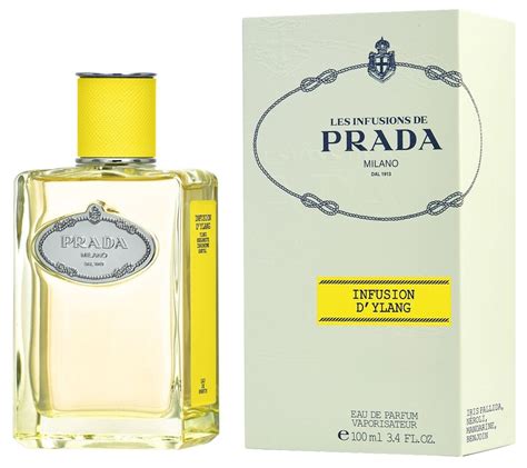 prada infusion d ylang review